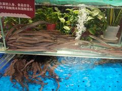 -船歌·鱼水饺青岛菜(闽江二路店)