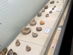 -辽宁古生物博物馆