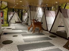 -东方之珠洗浴休闲广场(南开店)