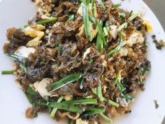 炒地耳-青龙潭鱼庄