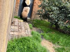 -扬州市茱萸湾风景区