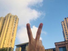 -青岛市图书馆