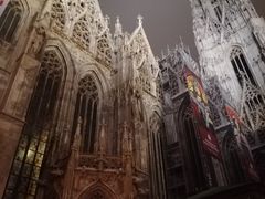 -斯蒂芬主教座堂(Stephansdom)