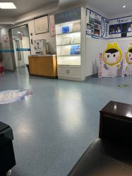 -温州伯思立医院