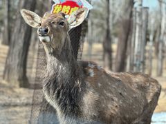 -秦皇岛野生动物园