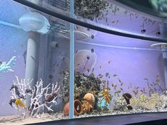 -欢乐海岸海洋奇梦馆