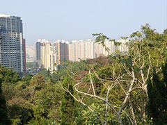 -石排湾郊野公园
