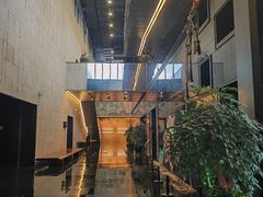 -嘉定紫藤园