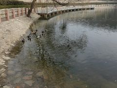 -北岭山森林公园