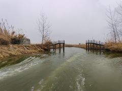 -泗洪洪泽湖湿地景区