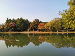 -白塘生态植物园