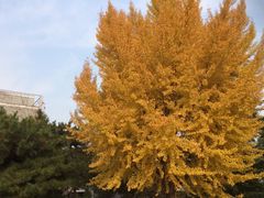 -北京动物园-畅观楼