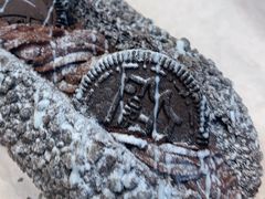 -奈雪的茶(中储能店)