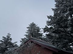 -峨眉山风景名胜区