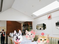 -蝶舍·MAISON PAPILLON