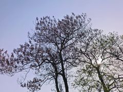 -里口山风景名胜区