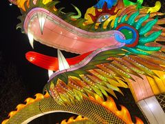 -青龙湖公园