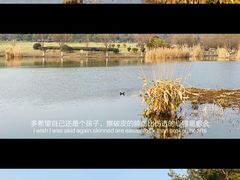 -T80科技文化国际社区-停车场