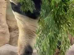 -无锡动物园·太湖欢乐园