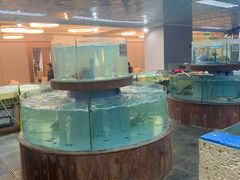 -金龙渔港(双楠店)