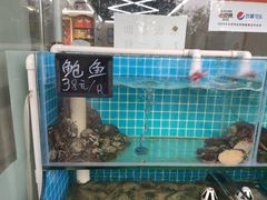-北戴河庆山饭店·海鲜砂锅粥(北戴河黑石路店)