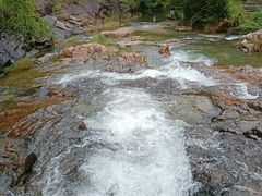 -广州白江湖森林公园