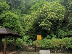 -火炉山森林公园