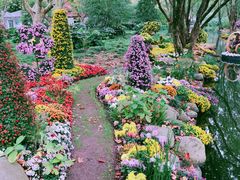 -上海共青森林公园