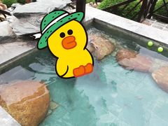 -崇阳三特浪口温泉