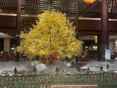 -余姚阳明温泉山庄