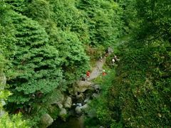 -夏霖九天银瀑风景区