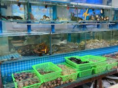 水产区-富临港·蒸汽海鲜·手抓海鲜·炒菜(栈桥店)