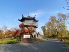 -盐城丹顶鹤湿地生态旅游区
