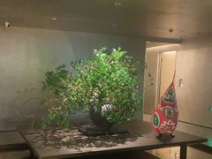 -隐溪茶馆(静安寺店)