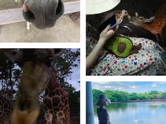 -清迈夜间动物园