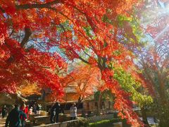 -青岛崂山太清宫