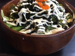 -春草居酒屋·晴子の店