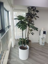 -HEYAN荷妍专业脱毛连锁机构