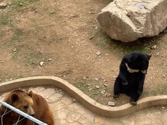 -无锡动物园·太湖欢乐园