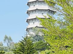 -深圳国际园林花卉博览园