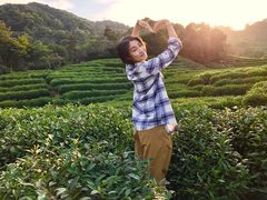 景点茶园-龙井村