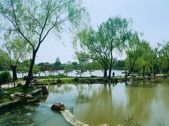 -紫竹院公园冰场