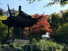 -上海醉白池公园