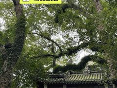 -蒋氏故居