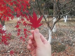 -江南大学(蠡湖校区)