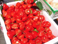 -老炳·七丛松甘草水果