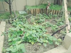 -英伦凯贝国际婴幼儿托育中心(雍湖湾店)