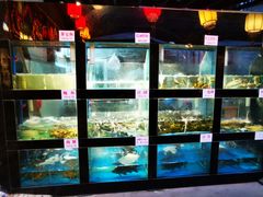 水产区-院8里·少城记忆老川菜(宽窄巷子店)