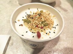 自制酸奶-紫光园(顺义店)