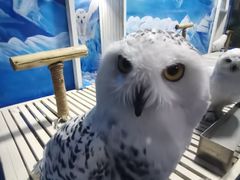 -成都浩海立方海洋公园